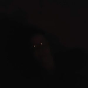 Meet your Posher, Linnea